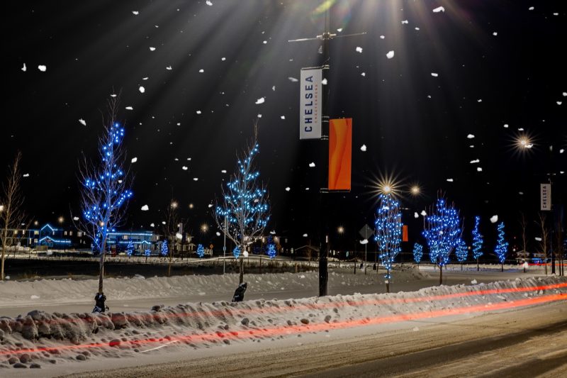 Evening photo of Chelsea in Chestermere showing lit up trees.